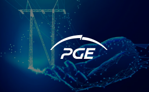 Read more about the article PGE Dystrybucja Buys 400,000 Remote Reading Meters